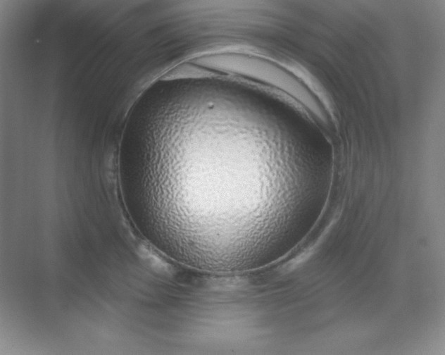 X0000068841001200605191921