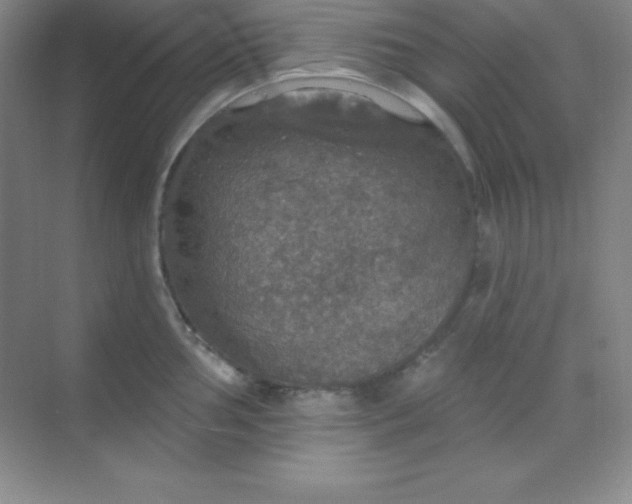 X0000068841002200605191921