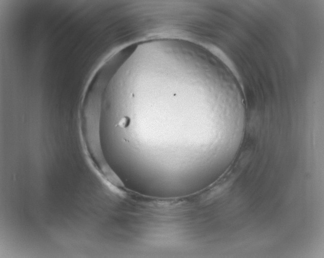 X0000068841005200605191920