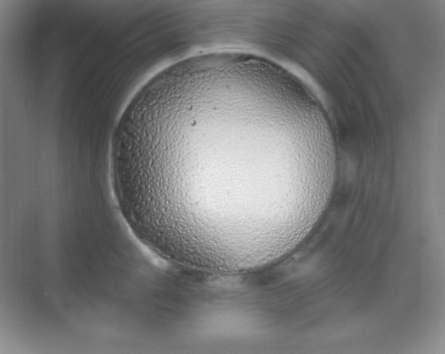 X0000068841006200605191920