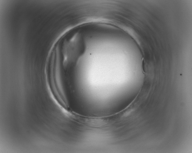 X0000068841007200605191920