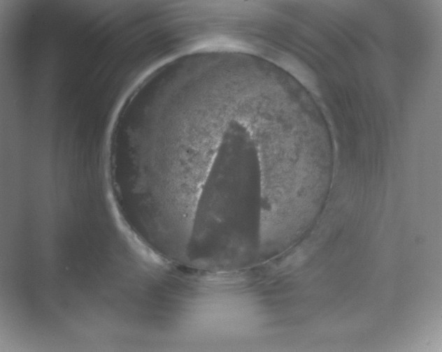 X0000068841008200605191920