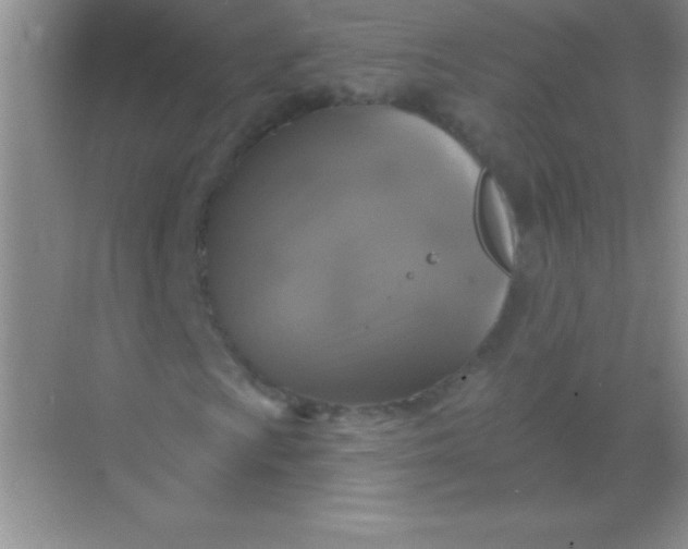 X0000068841009200605191920