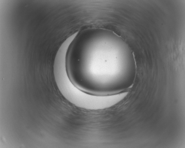 X0000068841010200605191920