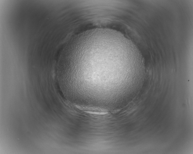 X0000068841012200605191920