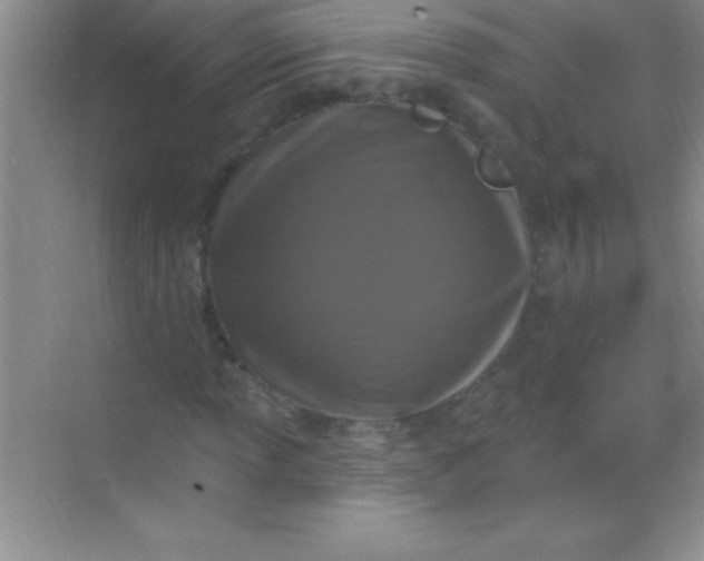 X0000068841013200605191920