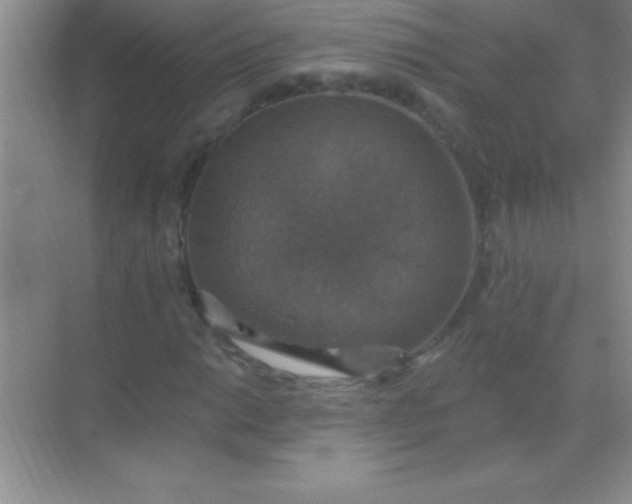 X0000068841014200605191920