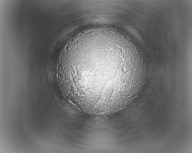 X0000068841015200605191920