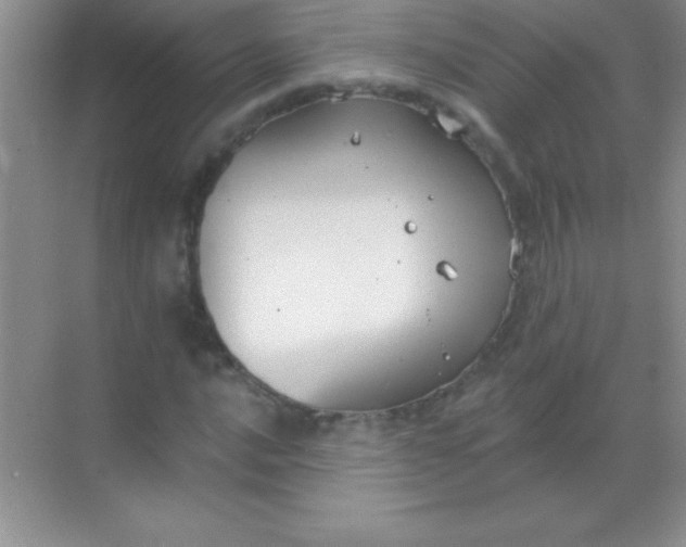 X0000068841016200605191920