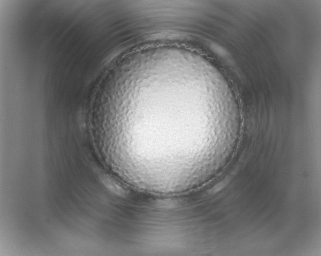 X0000068841017200605191920