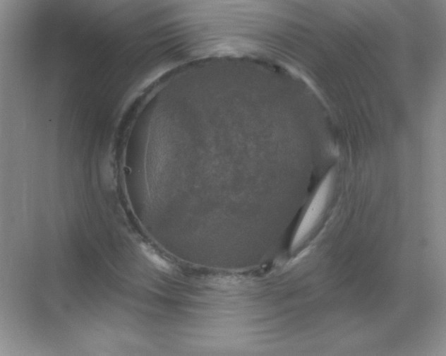 X0000068841018200605191920