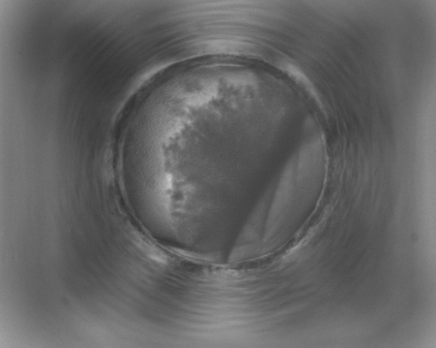 X0000068841019200605191920