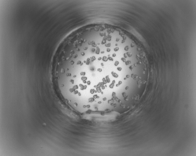 X0000068841020200605191920