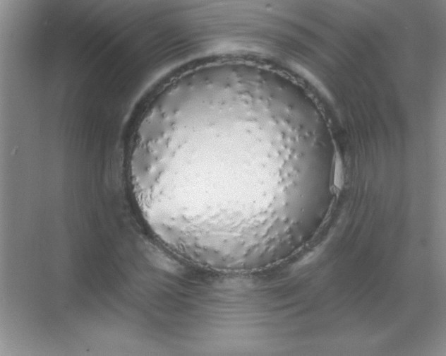 X0000068841021200605191920