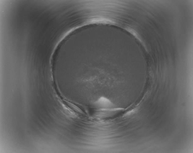 X0000068841022200605191920