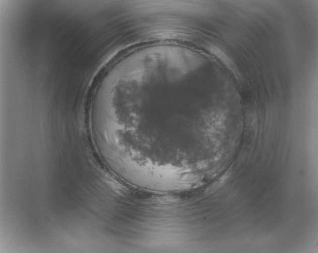 X0000068841023200605191920