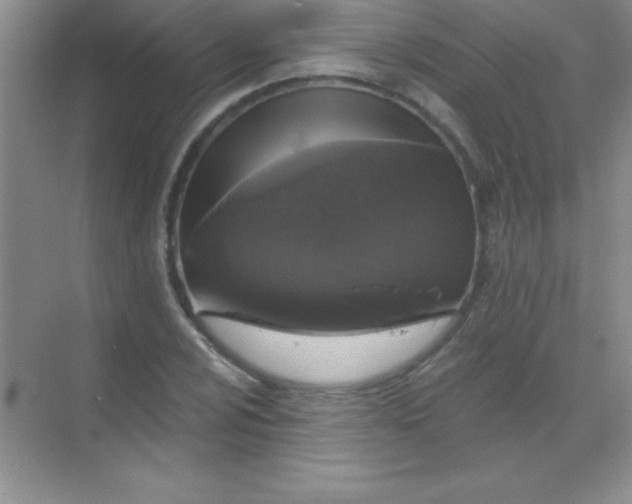 X0000068841024200605191920