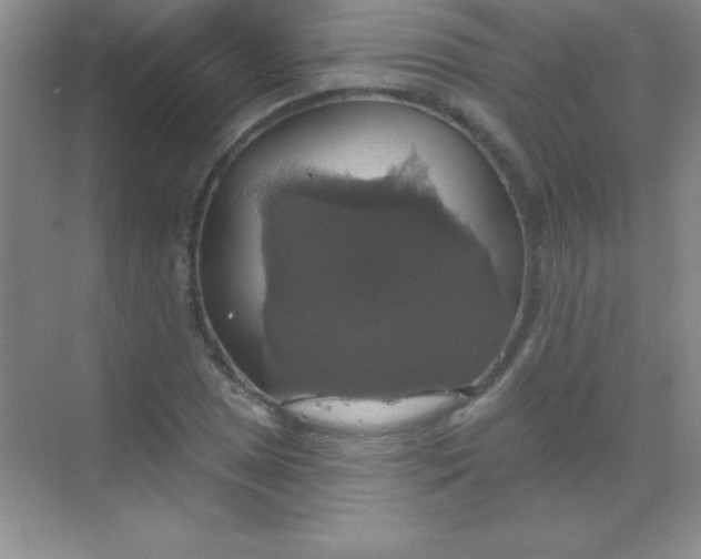 X0000068841025200605191920