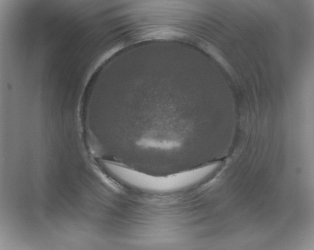 X0000068841026200605191920