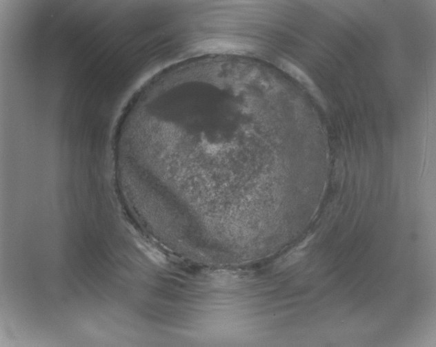 X0000068841027200605191920