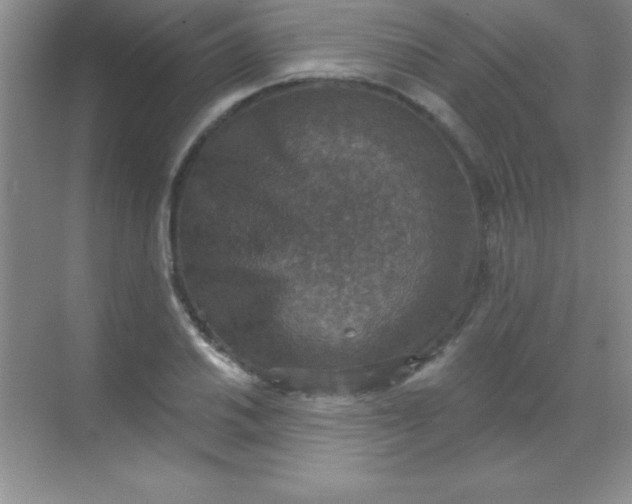 X0000068841030200605191920