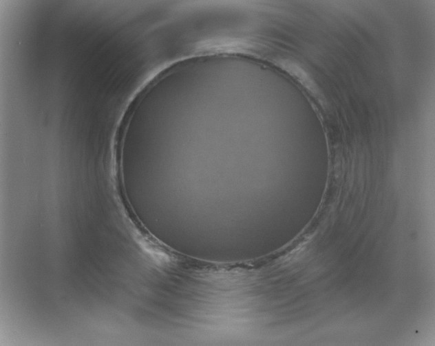 X0000068841031200605191920