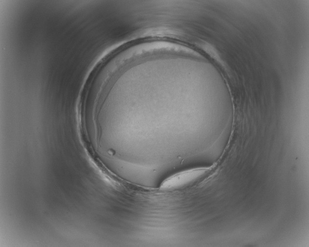 X0000068841032200605191920