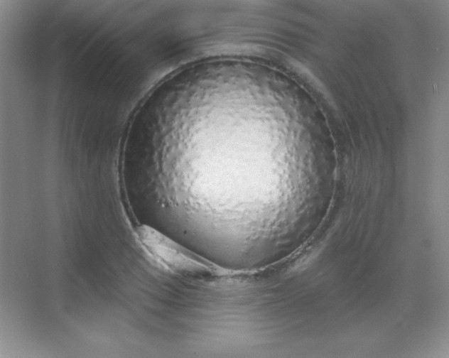 X0000068841033200605191920