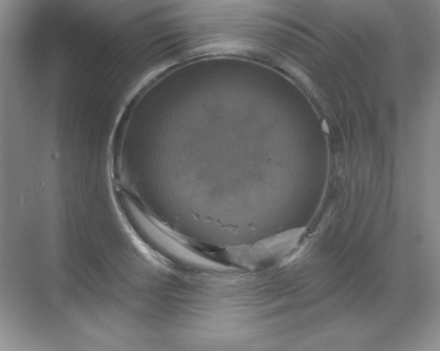 X0000068841034200605191920