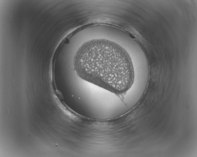 X0000068841036200605191920