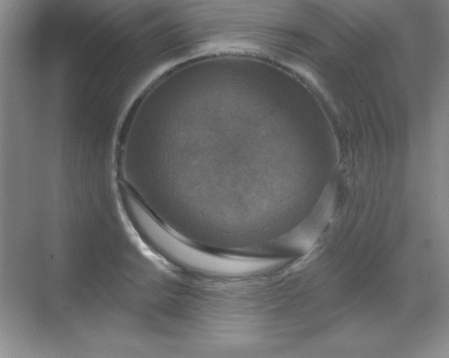 X0000068841038200605191920