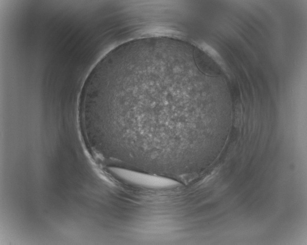 X0000068841039200605191920