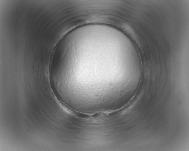 X0000068841041200605191920