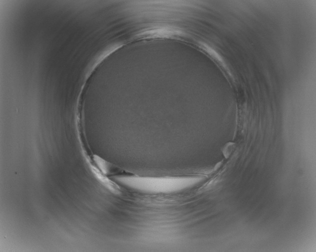 X0000068841042200605191920