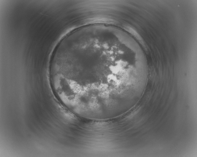 X0000068841043200605191920