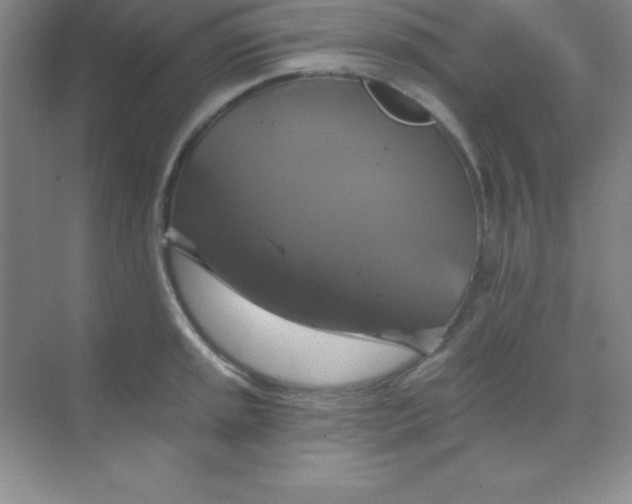 X0000068841045200605191920