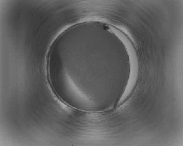 X0000068841046200605191920