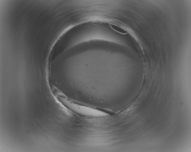 X0000068841048200605191920