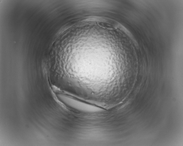 X0000068841049200605191920