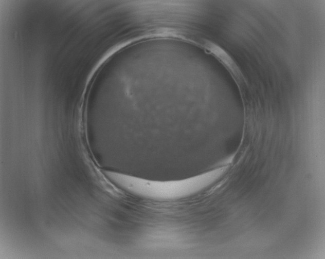 X0000068841052200605191920