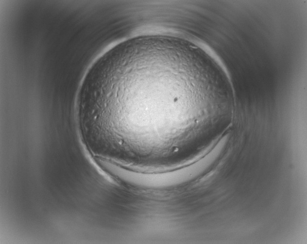 X0000068841053200605191920