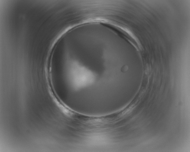 X0000068841054200605191920