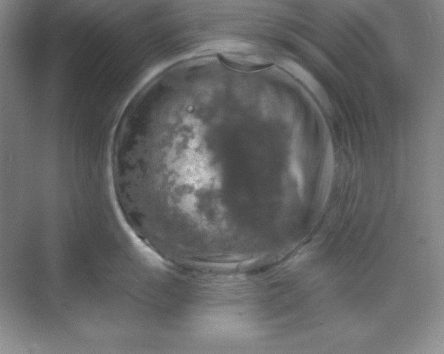 X0000068841055200605191920