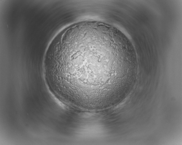 X0000068841056200605191920