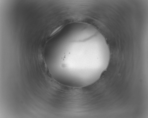 X0000068841058200605191920