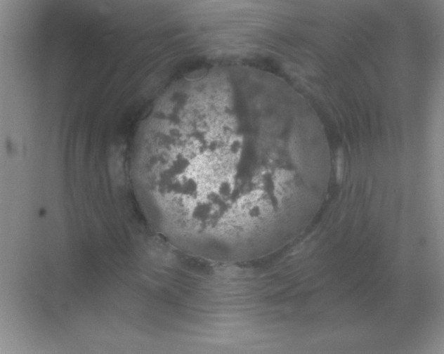 X0000068841059200605191920