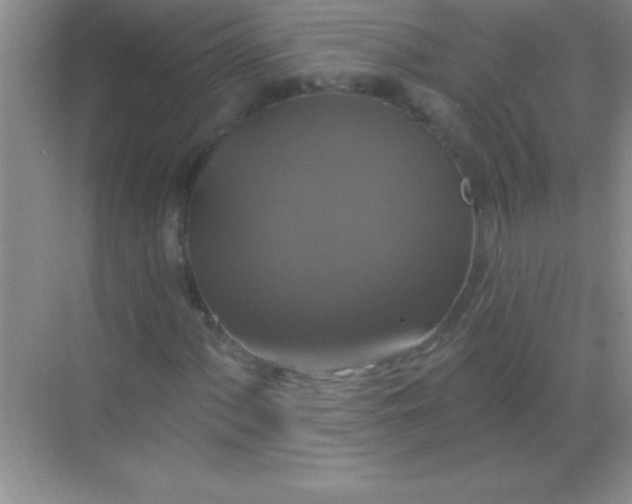 X0000068841060200605191920