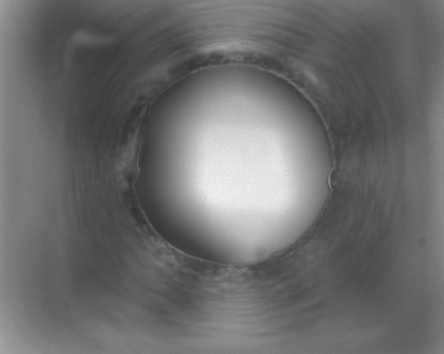 X0000068841062200605191920