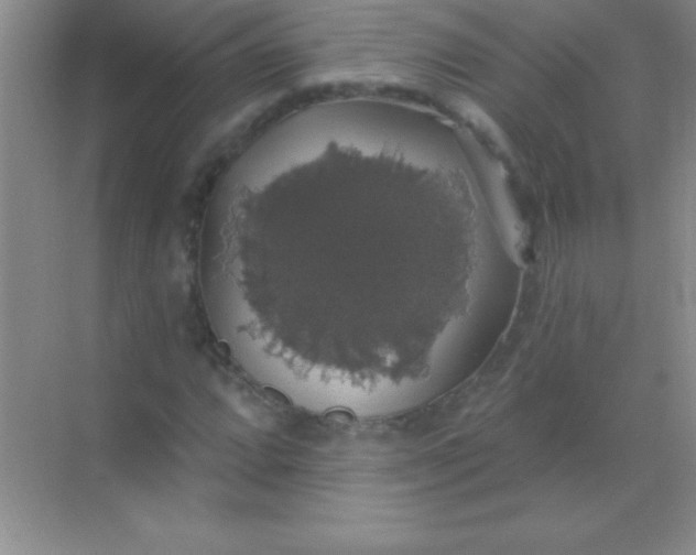 X0000068841064200605191920