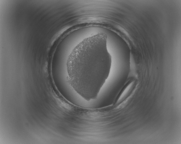 X0000068841066200605191919